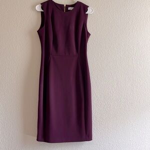 Plum Sheath Dress by Calvin Klein